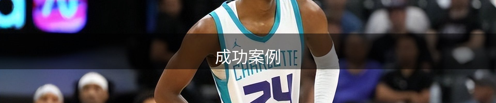 成功案例